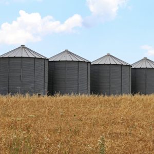 Silo Agricultural storage bins