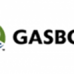 Gasboy Logo